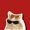CANAL DO MIAU