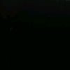 __whototalk