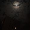 doums__m