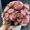 Trang Trí Sân Vườn Đẹp