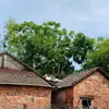 traminhnhat211
