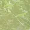 ganzinruhe