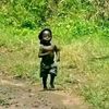 muswa_asa_dini