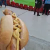 pmahnn