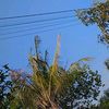 wong.sekar7
