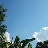 ducanh1234368
