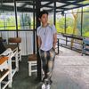 the_lion808