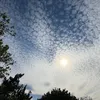 aran.koye8