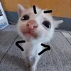 collin_cs