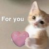 just_chynx01