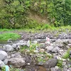 nikkai25