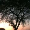 prabesh_don2