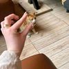 user39127176