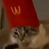 akssel_