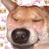 yannieyangho