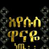 user4610637306563