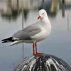 user120013698