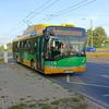 autobusowy_pawel