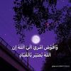 user355409164
