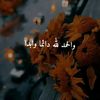 abdelrahmanabdel65