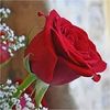 shumailajaved12