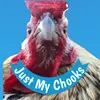 justmychooks