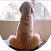 _._dieego_
