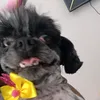 stephanny920