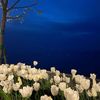 _ahhad