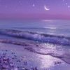moondust.xo.xo
