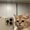 nottdetecteddd_