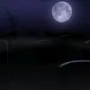 mangashaw1217