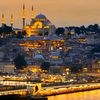 haithamalhourany