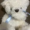 katsunlcy37