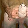 bmati__