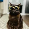 dkmichelle