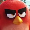 angrybirdsrojo