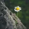 maihuong_3004