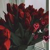 loka_1560