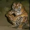 m4ee23