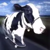 miksuu16