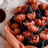 dalal_0071