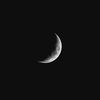 fofi_solomon326