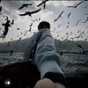 saif_313p