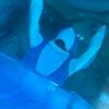beyond_blue_shark