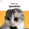 spookter_11