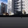 catfofinhos