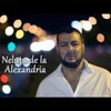 nelutu_alexandria27