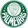 se_palmeiras_upf_dls22