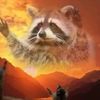 racoonwhisperer
